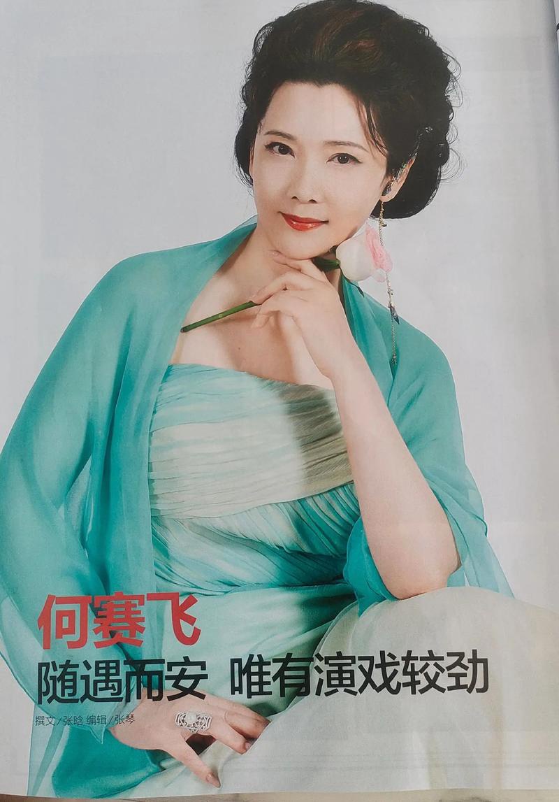 何赛飞